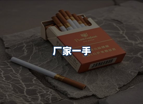 专业团队办公环境